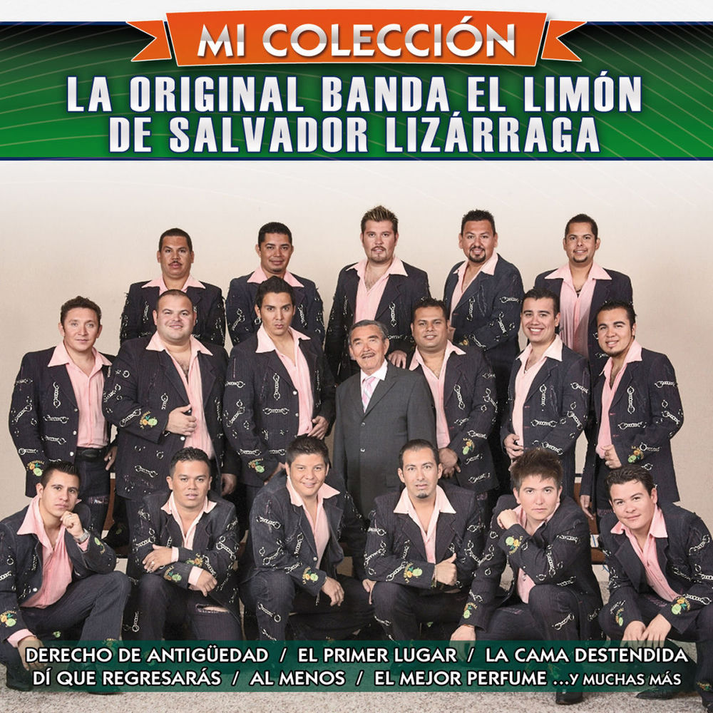 Portada de Si pudiera