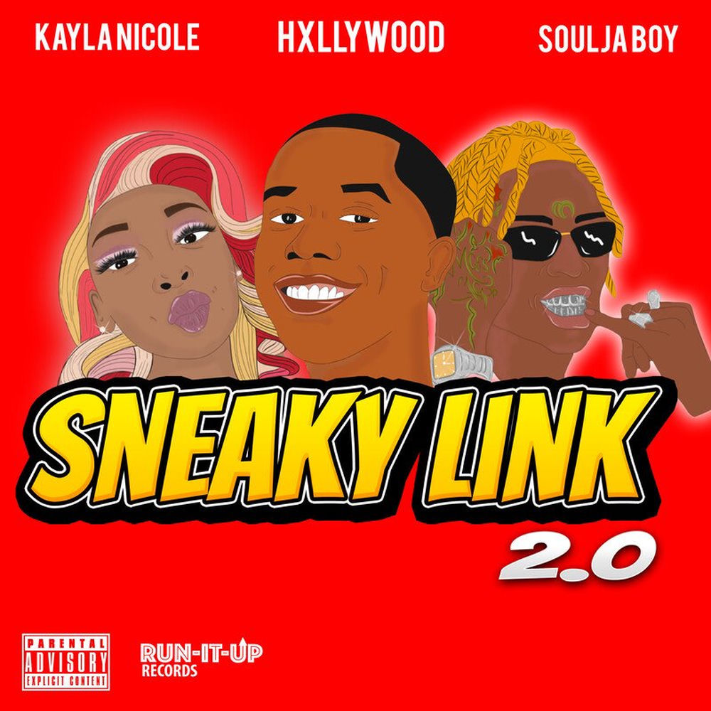Portada de Sneaky Link 2.0