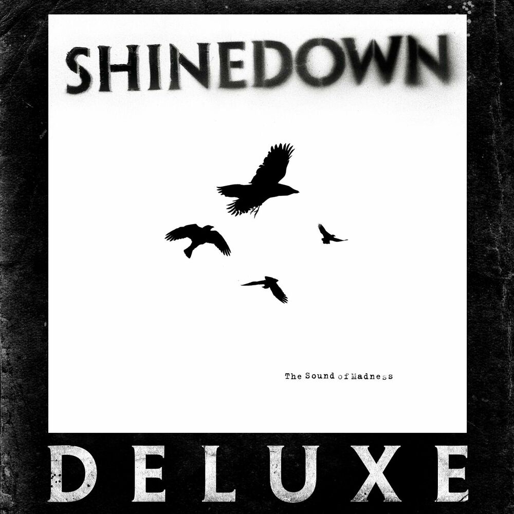 Portada de Sound of Madness
