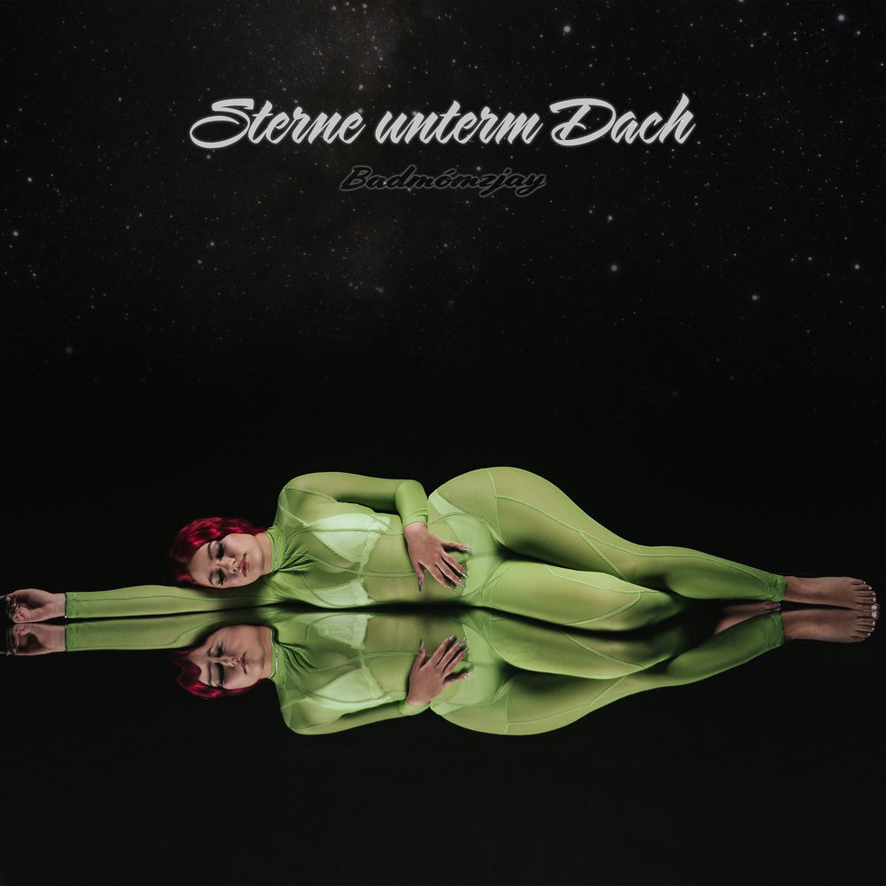 Portada de Sterne unterm Dach