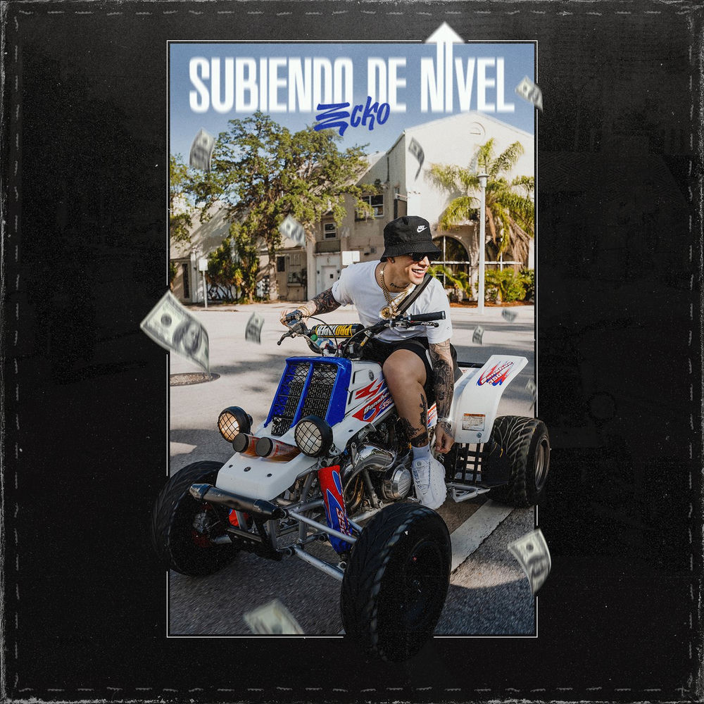 Portada de Subiendo De Nivel