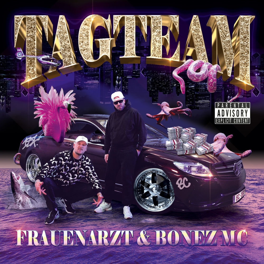 Portada de TAG TEAM