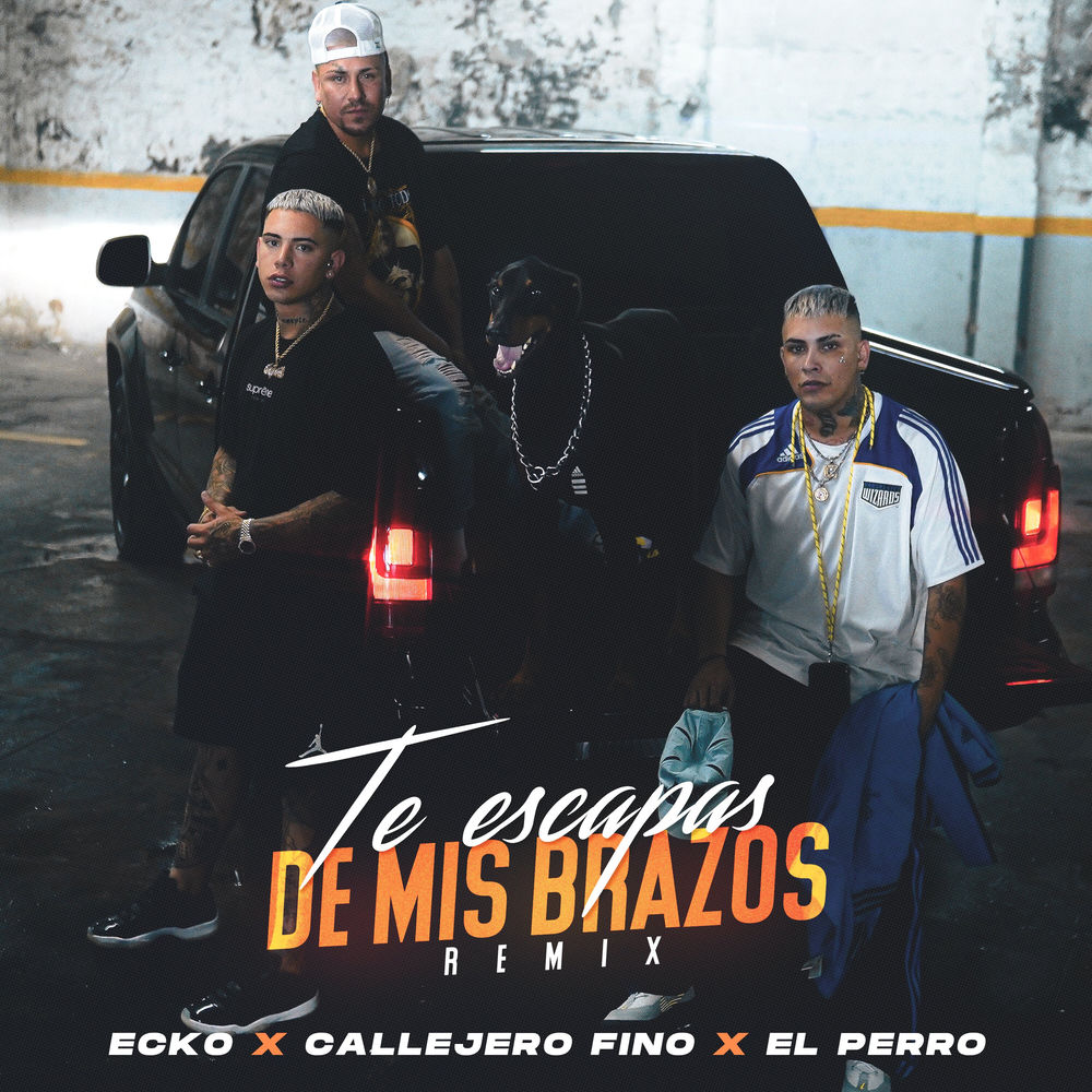 Portada de Te Escapas De Mis Brazos (Remix)