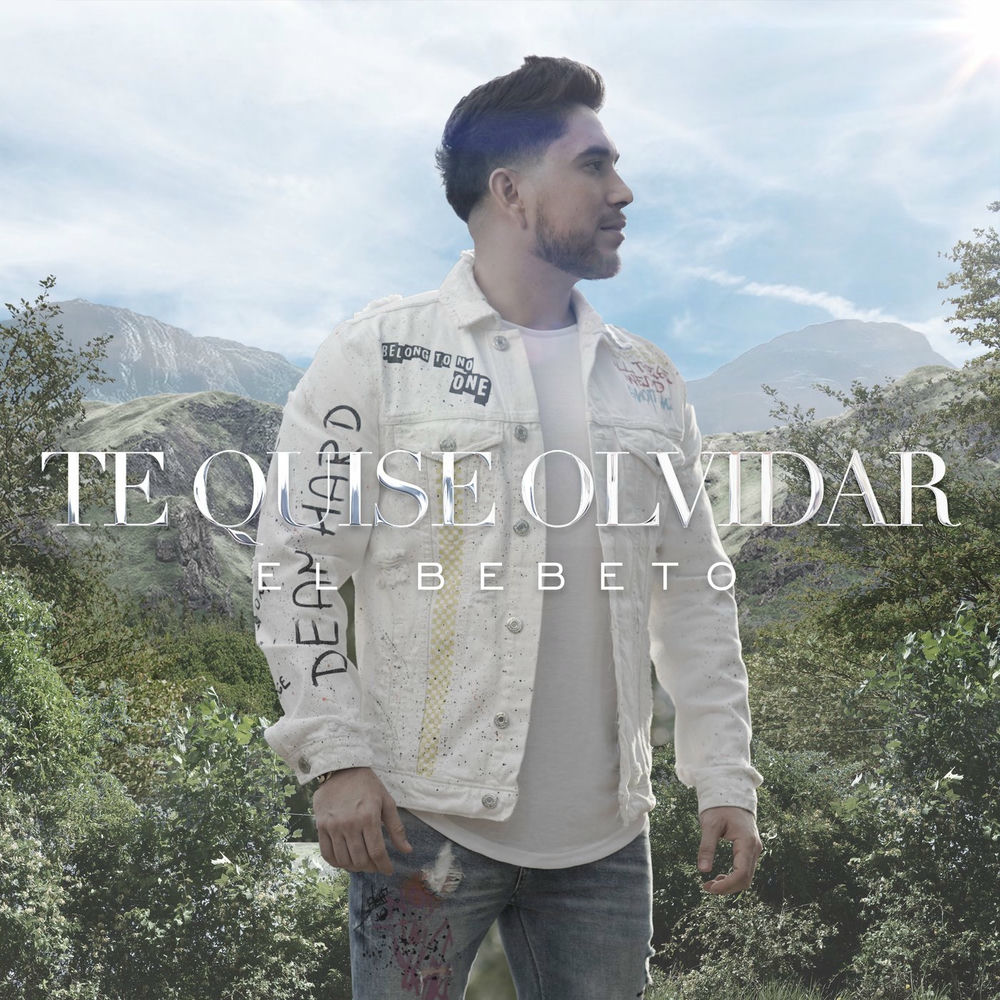 Portada de Te Quise Olvidar