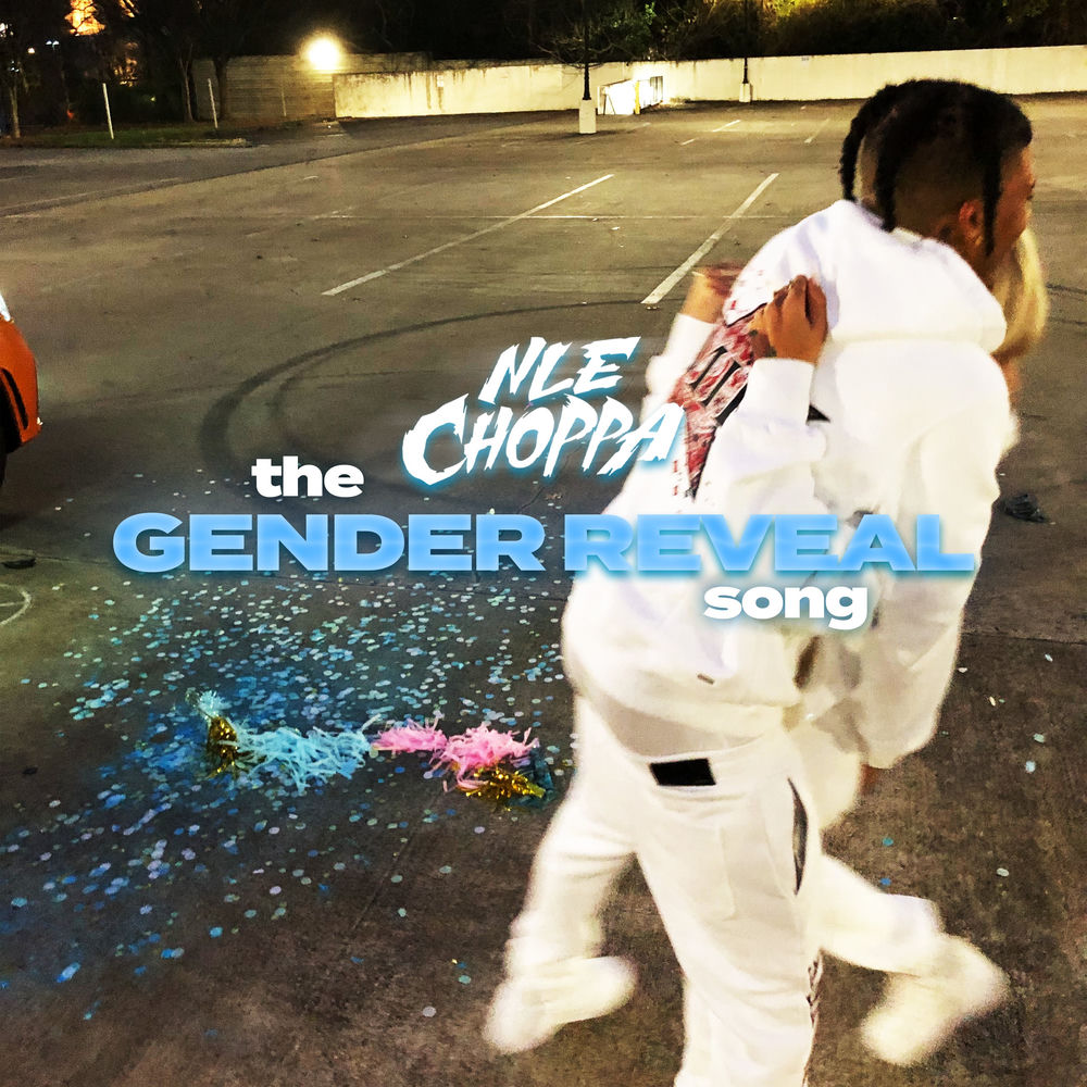 Portada de The Gender Reveal Song