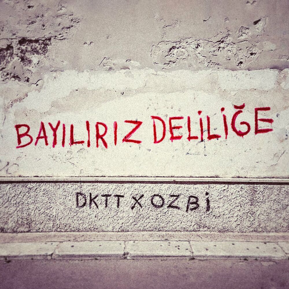 Portada de Bayılırız Deliliğe