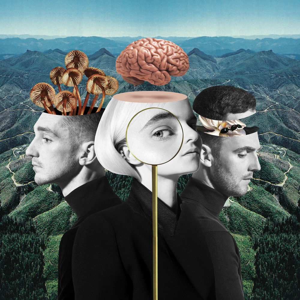 Portada de Beautiful