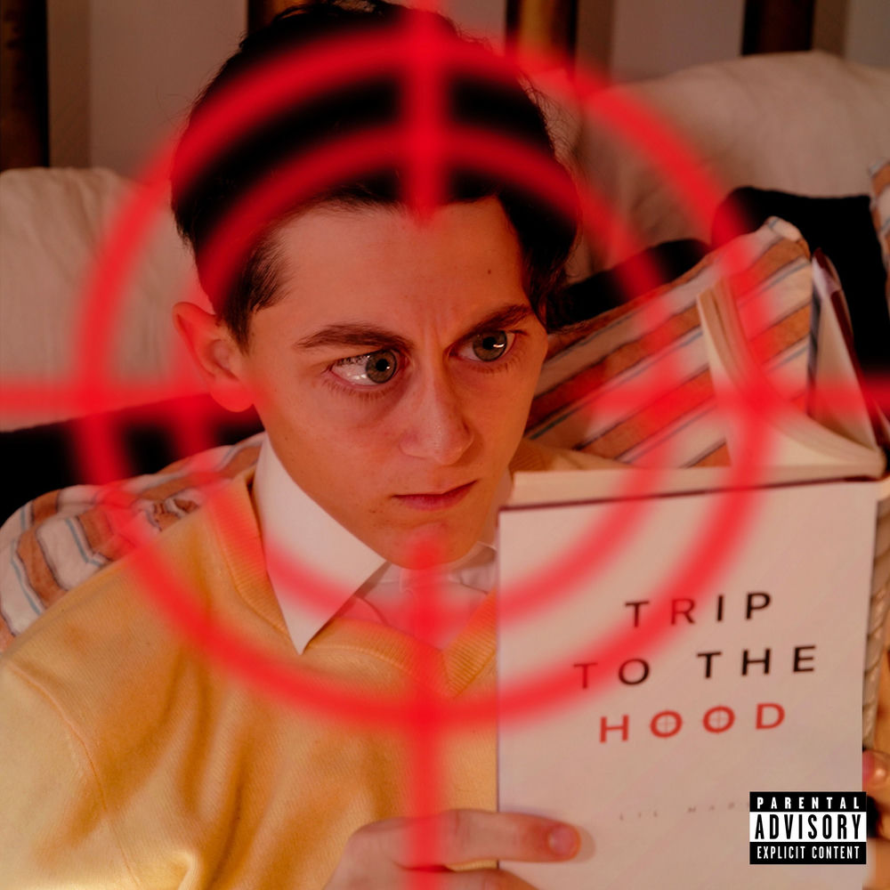 Portada de TRIP TO THE HOOD