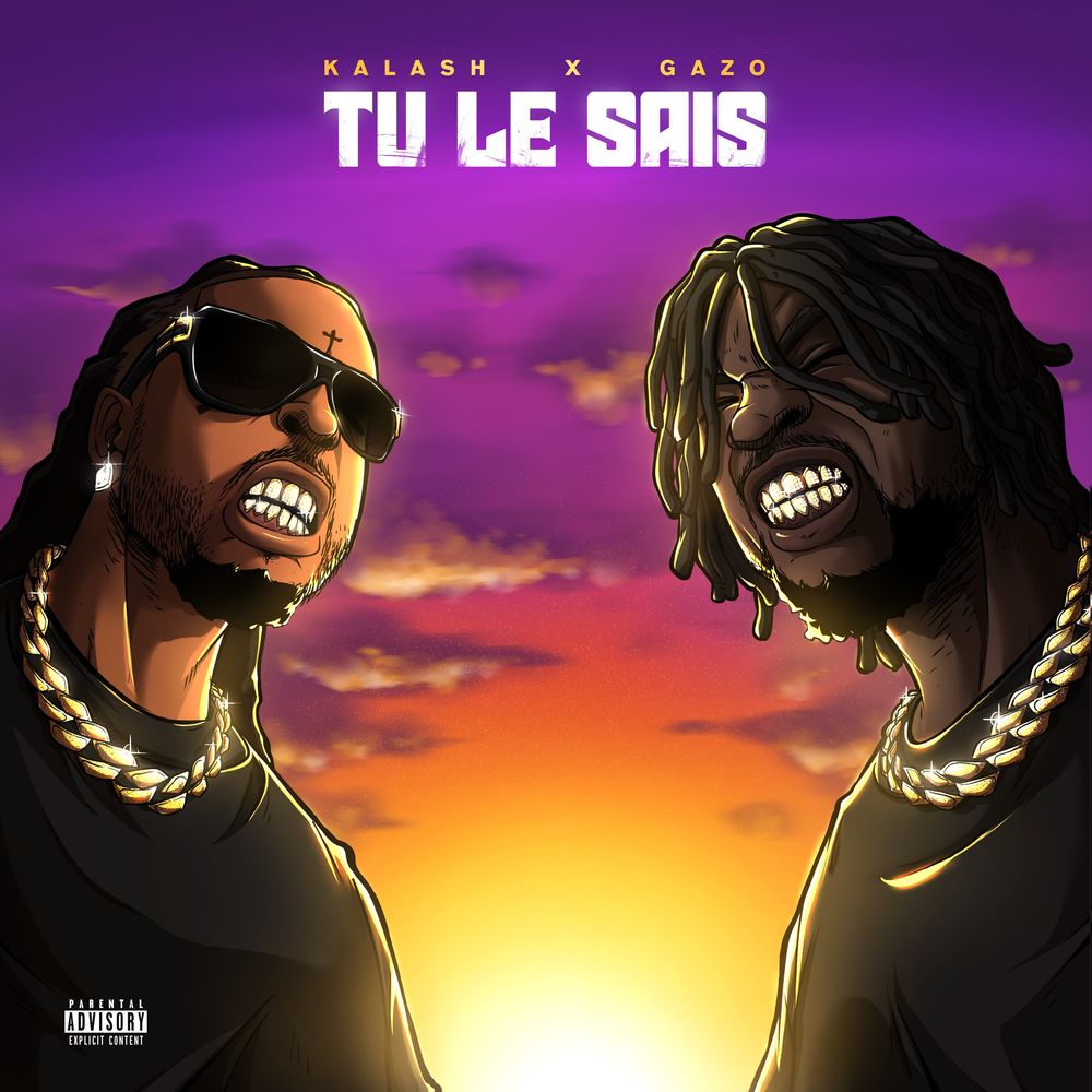 Portada de Tu le sais
