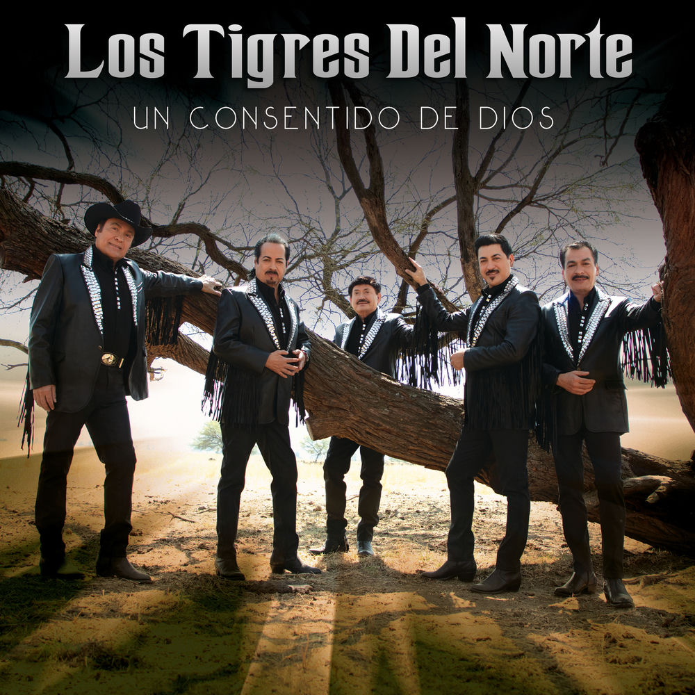 Portada de Un Consentido De Dios