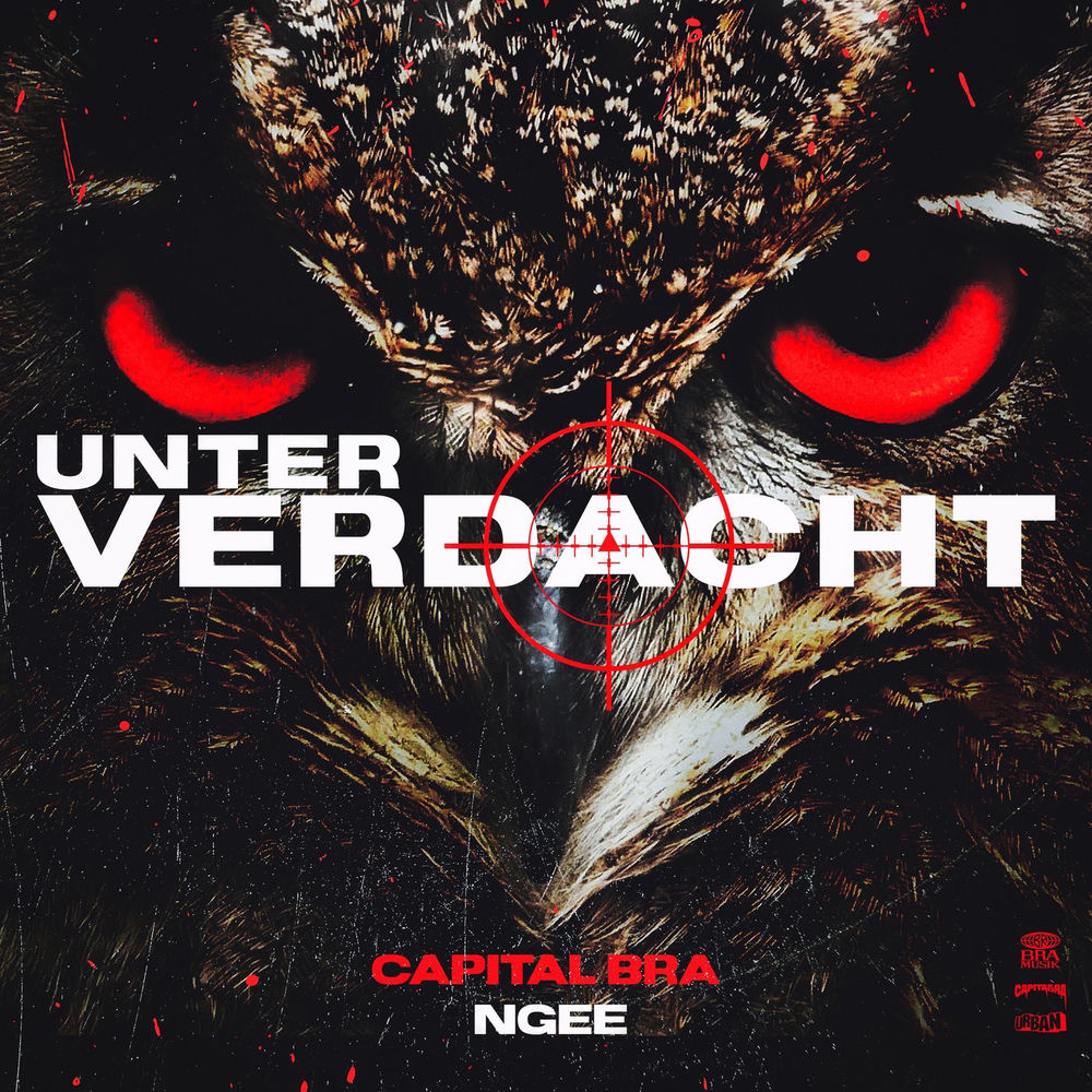 Portada de UNTER VERDACHT