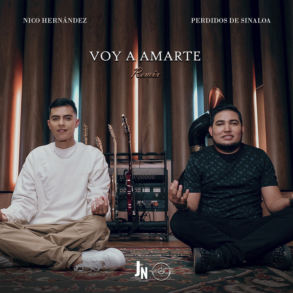 Portada de Voy a Amarte (Remix)