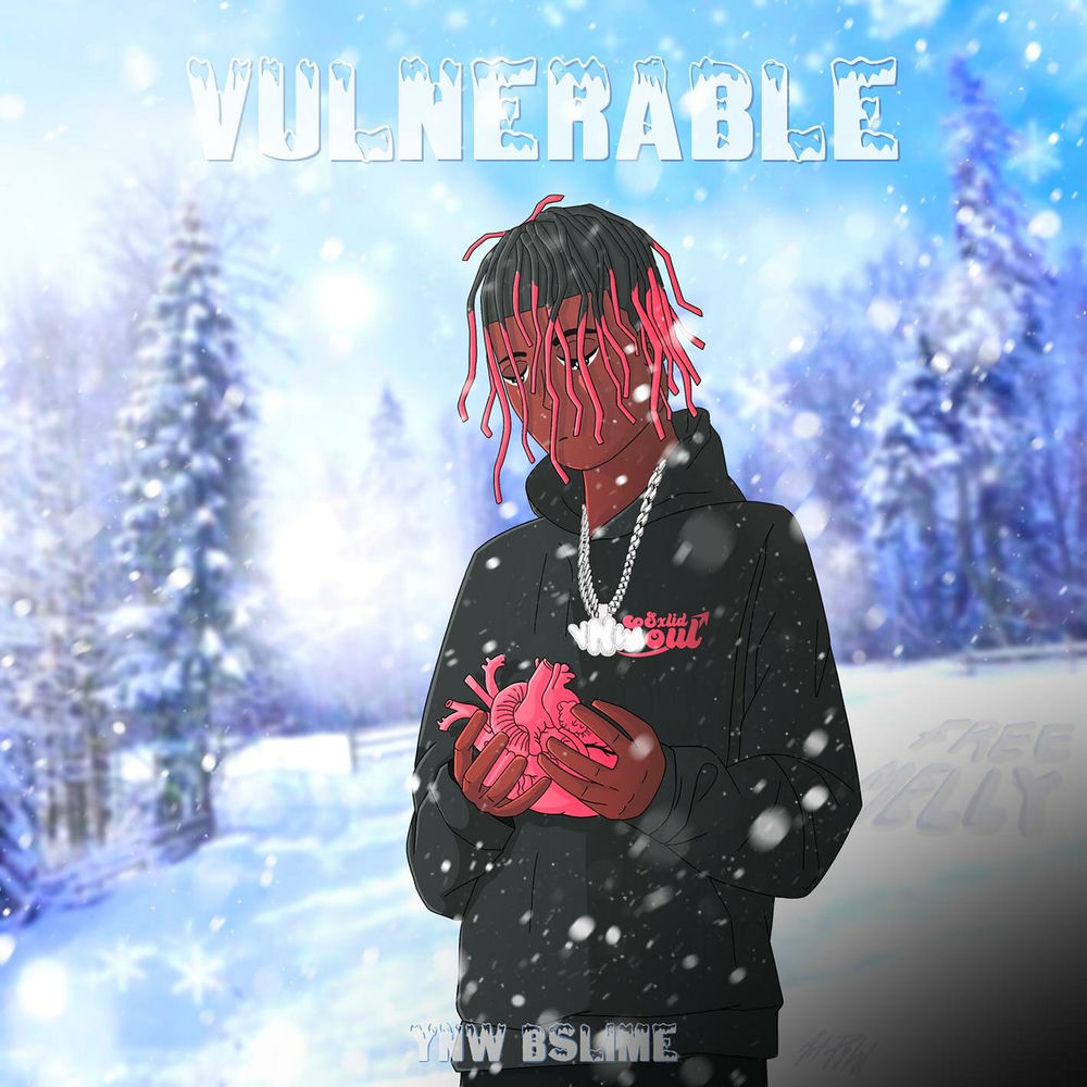 Portada de Vulnerable