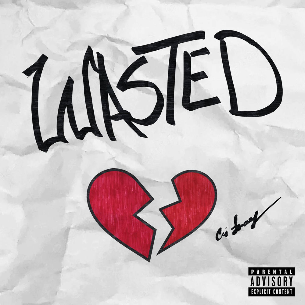 Portada de Wasted