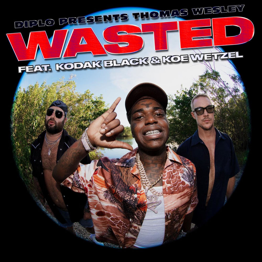 Portada de Wasted