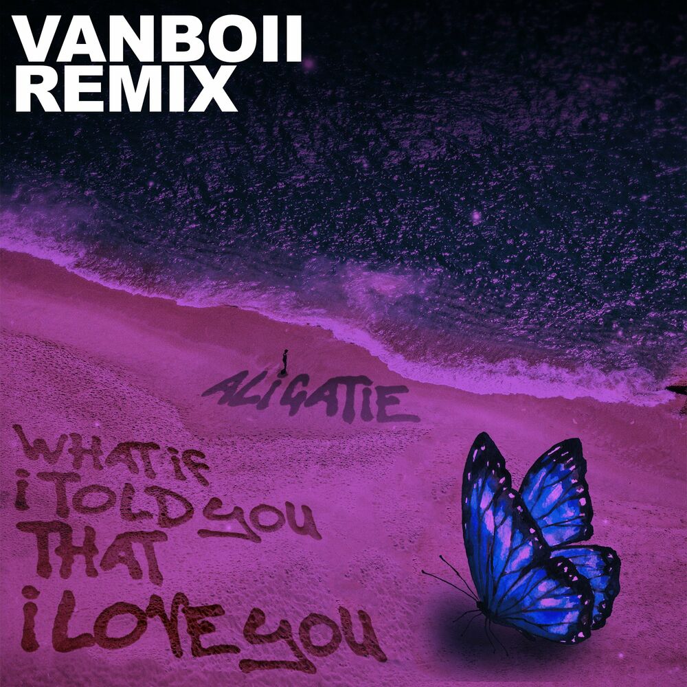 Portada de What If I Told You That I Love You