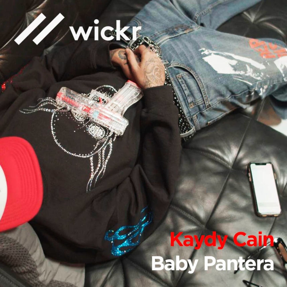 Portada de Wickr