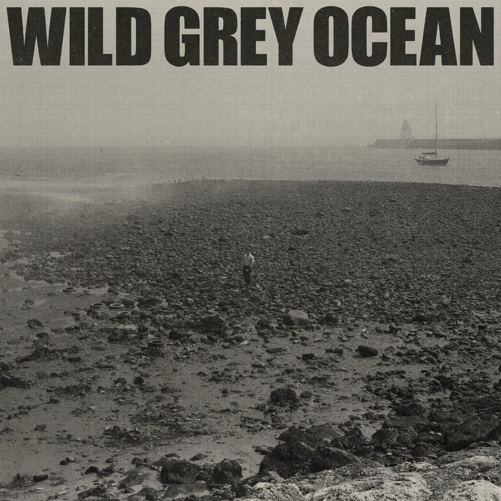 Portada de Wild Grey Ocean