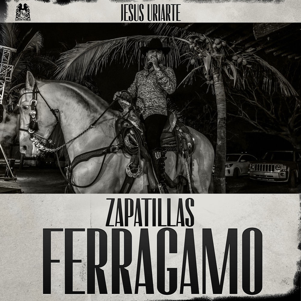 Portada de Zapatillas Ferragamo