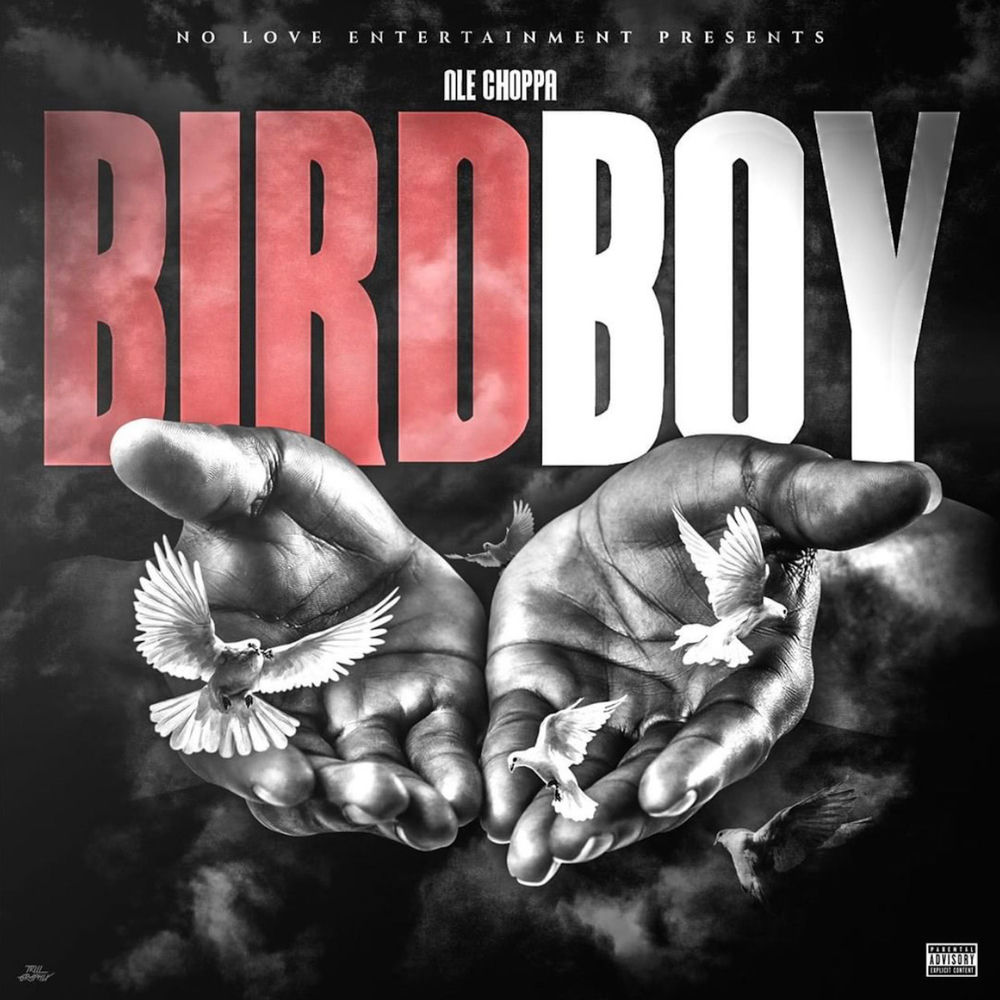 Portada de Birdboy 2