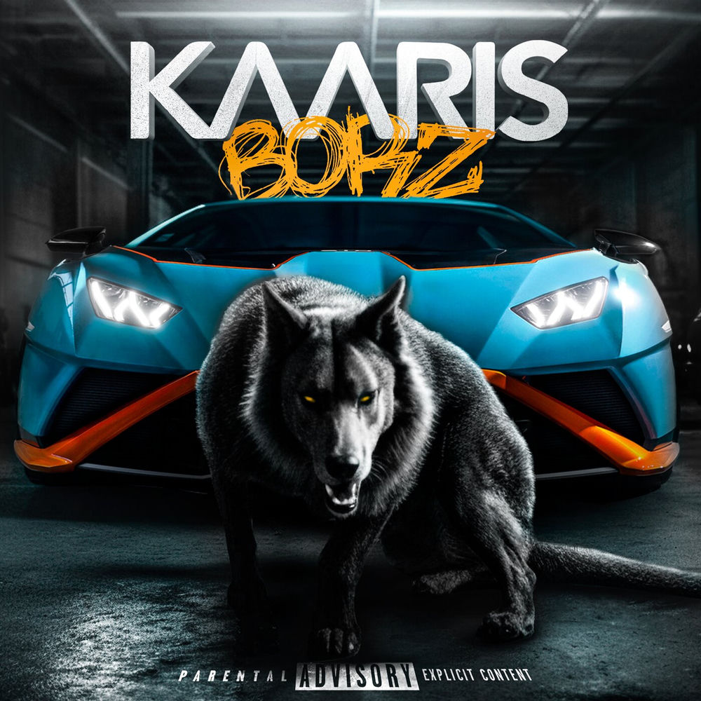 Portada de BORZ