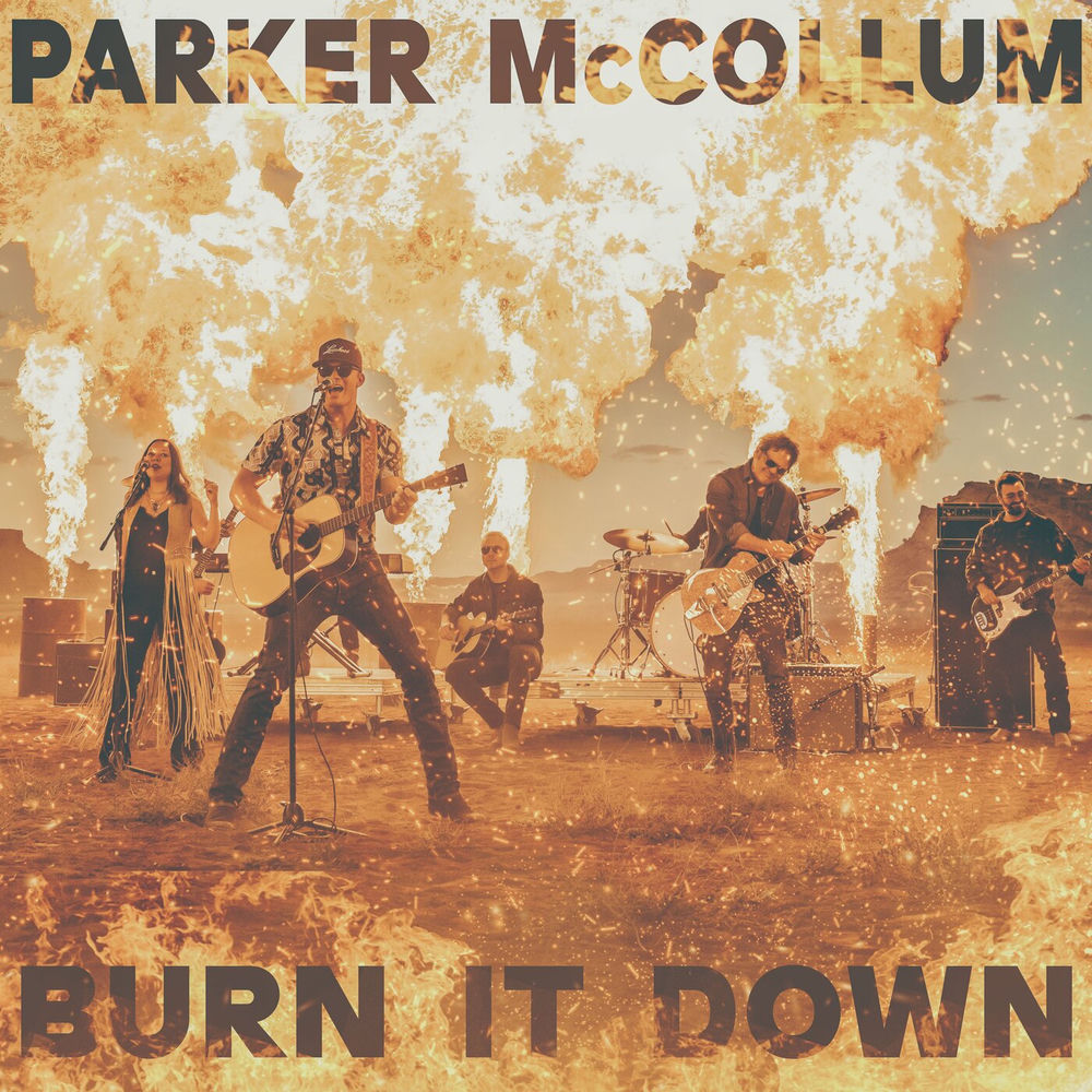Portada de Burn It Down