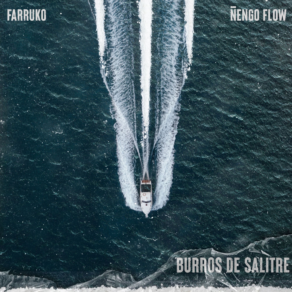 Portada de Burros de Salitre