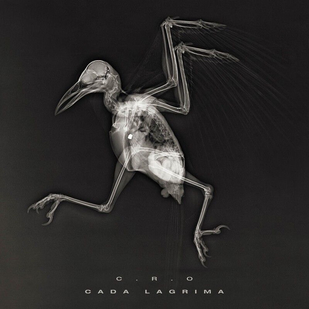Portada de Cada Lágrima