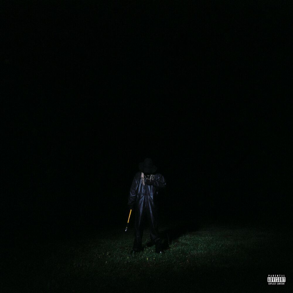 Portada de came in wit