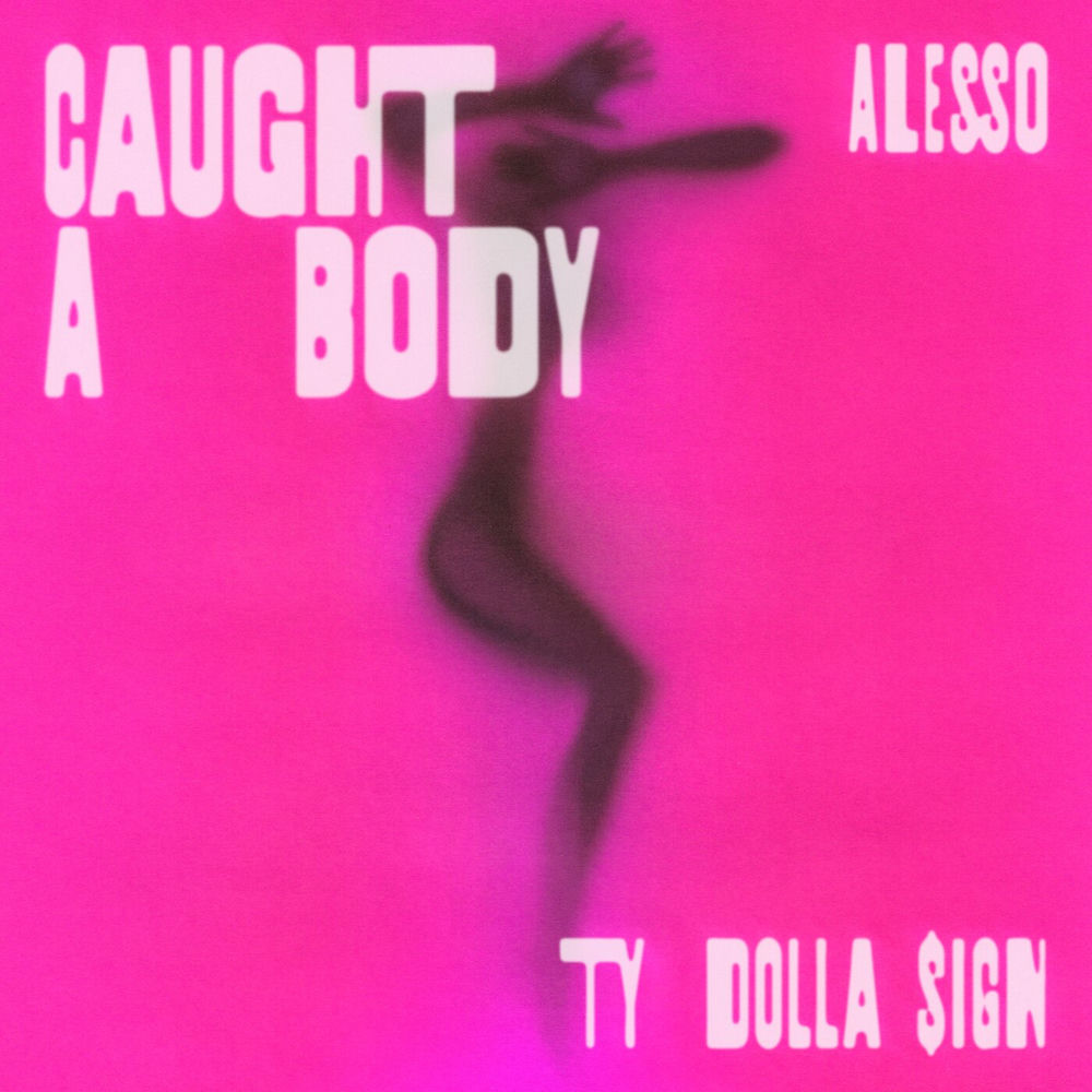 Portada de Caught A Body