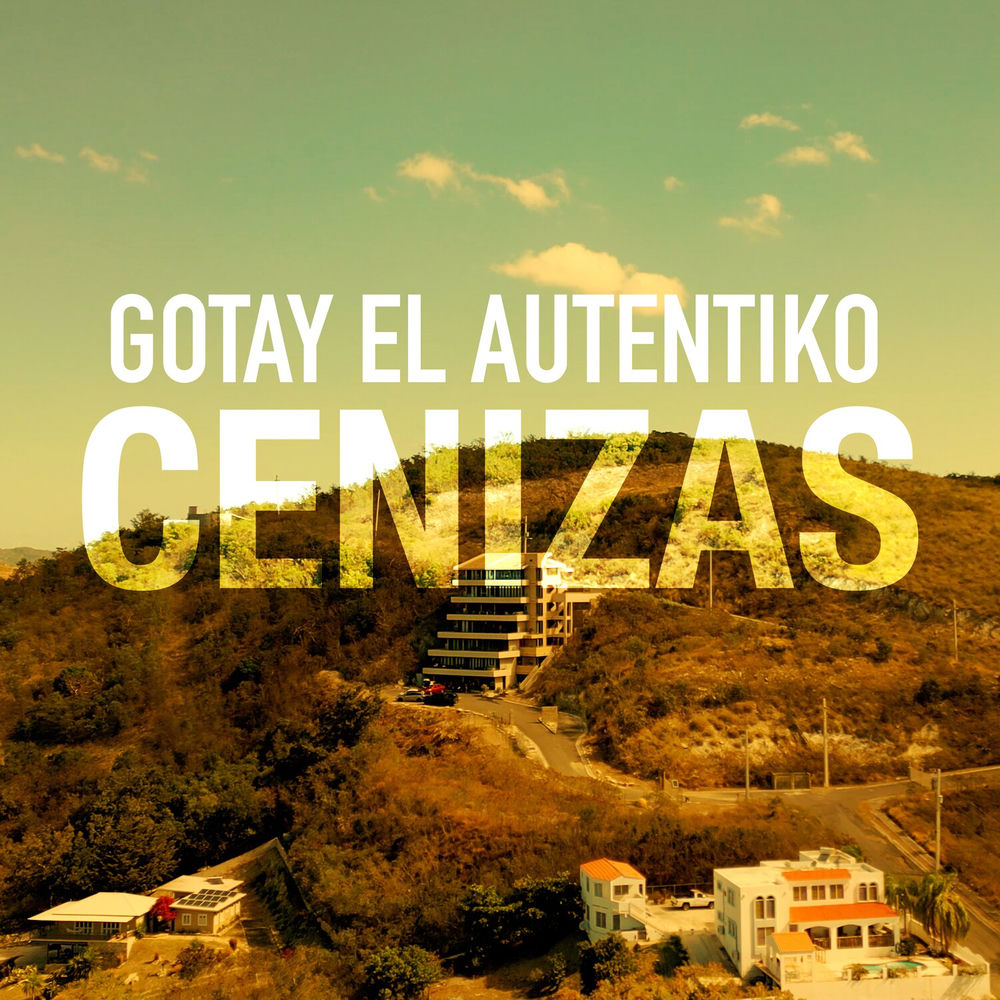 Portada de Cenizas
