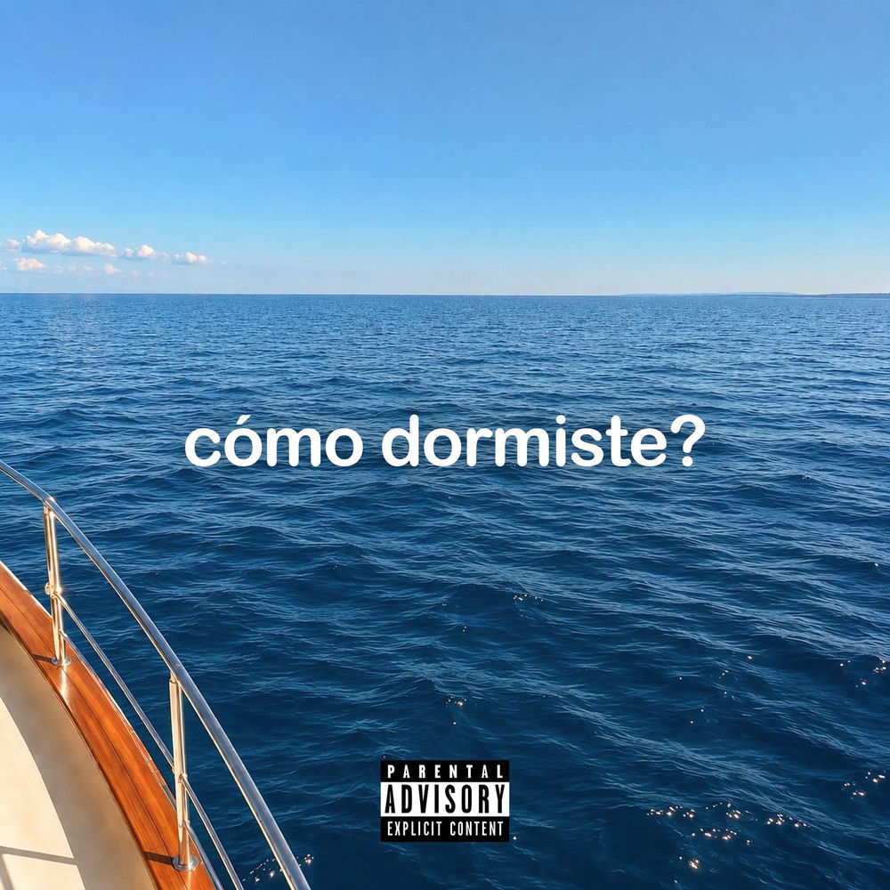 Portada de cómo dormiste?