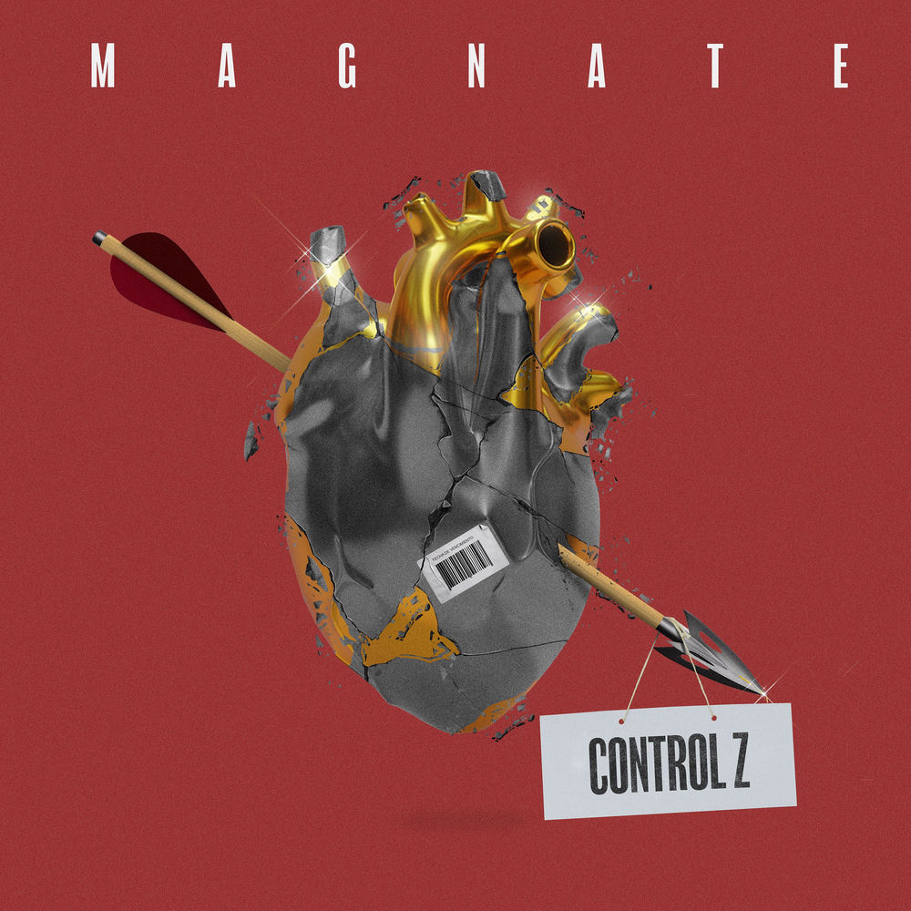 Portada de Control Z