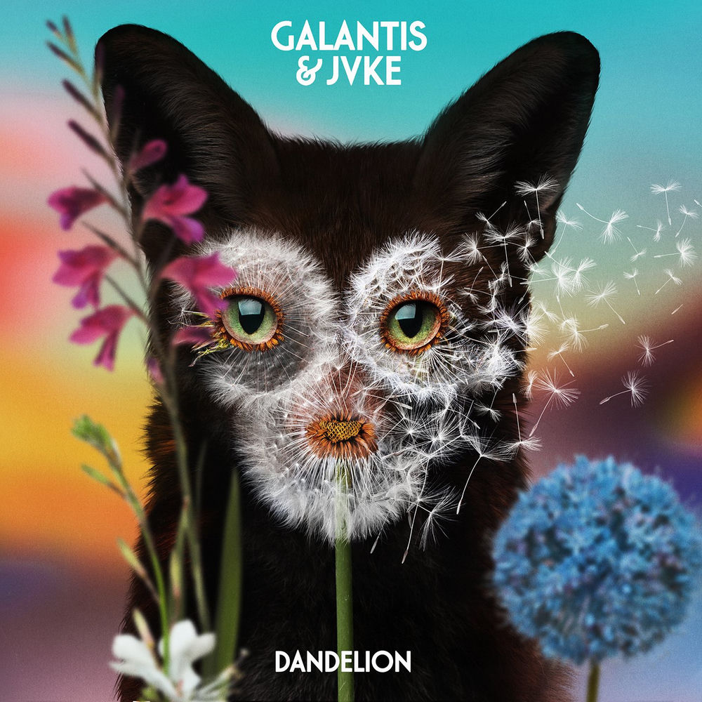Portada de Dandelion