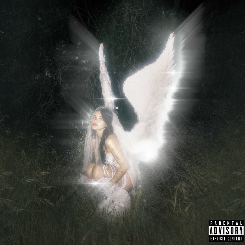 Portada de decay