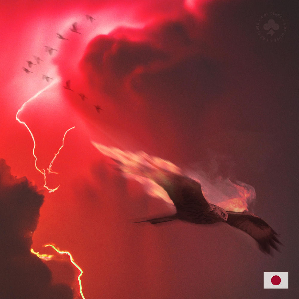 Portada de DIP