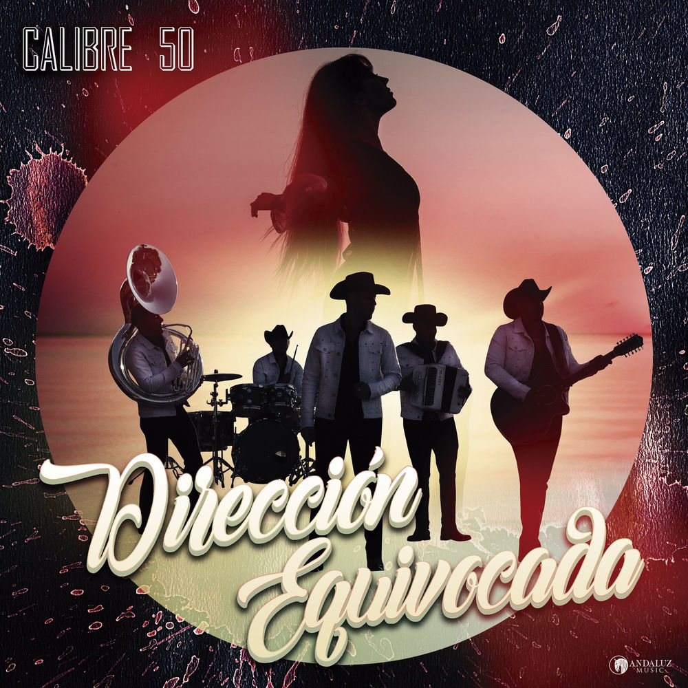 Portada de Dirección Equivocada