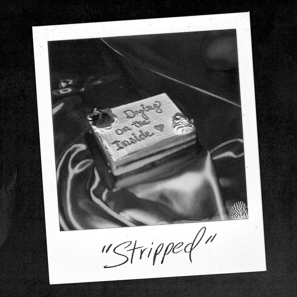 Portada de dying on the inside (stripped)