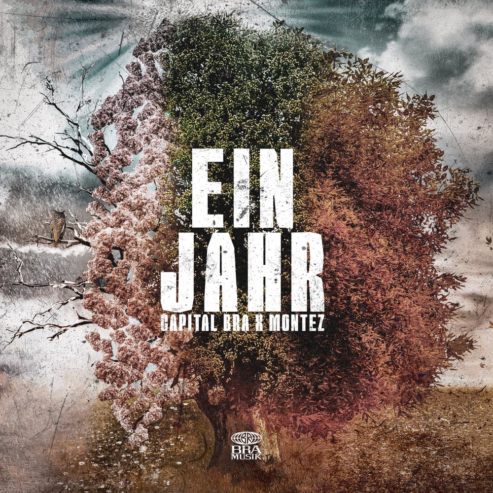 Portada de Ein Jahr