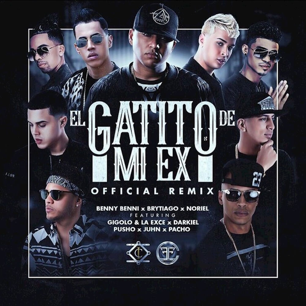 Portada de El Gatito De Mi Ex
