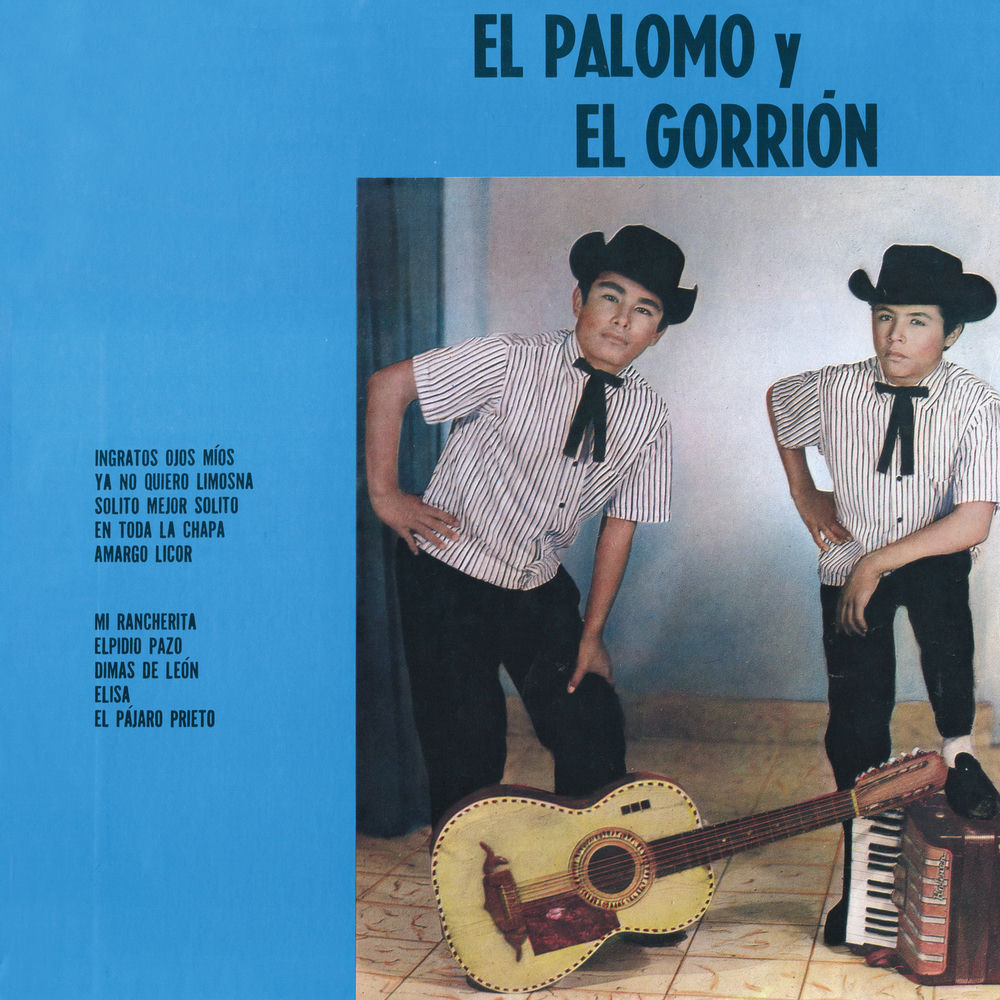Portada de El Pájaro Prieto