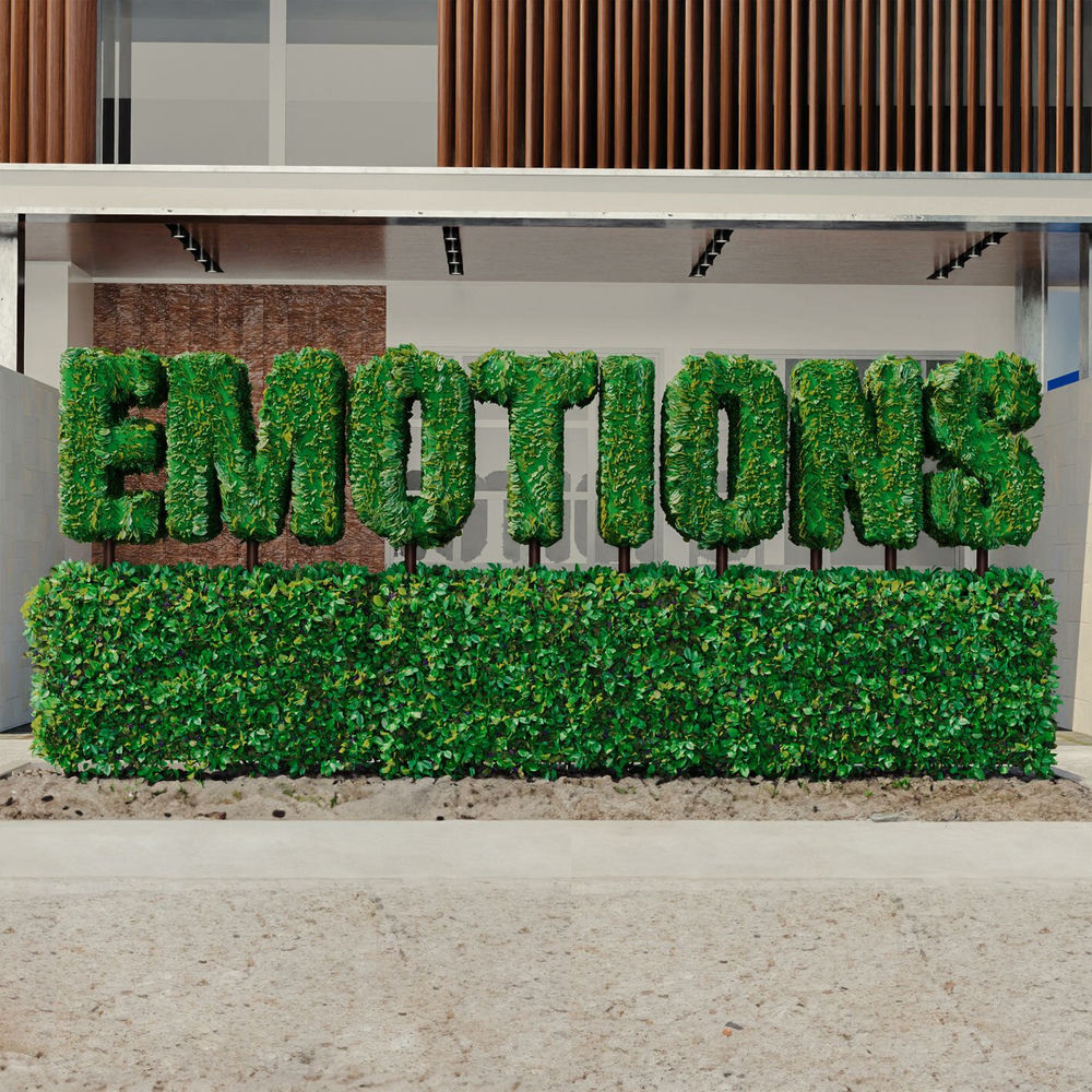 Portada de emotions