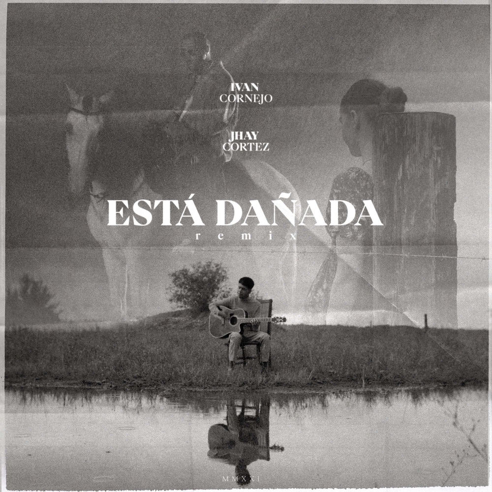 Portada de Está Dañada (Remix)