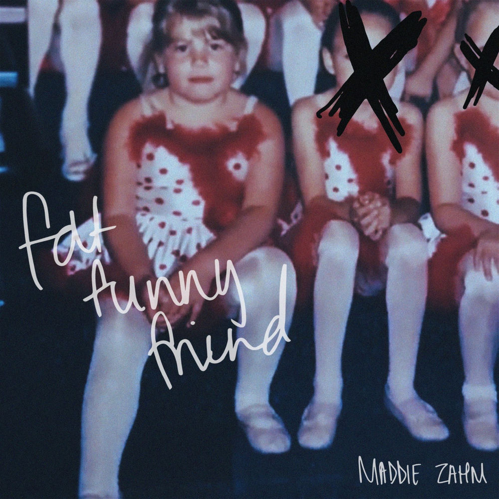 Portada de Fat Funny Friend