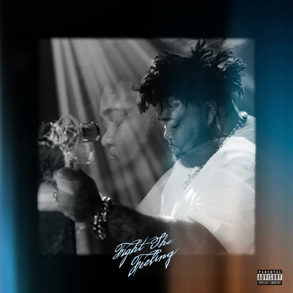 Portada de Fight The Feeling