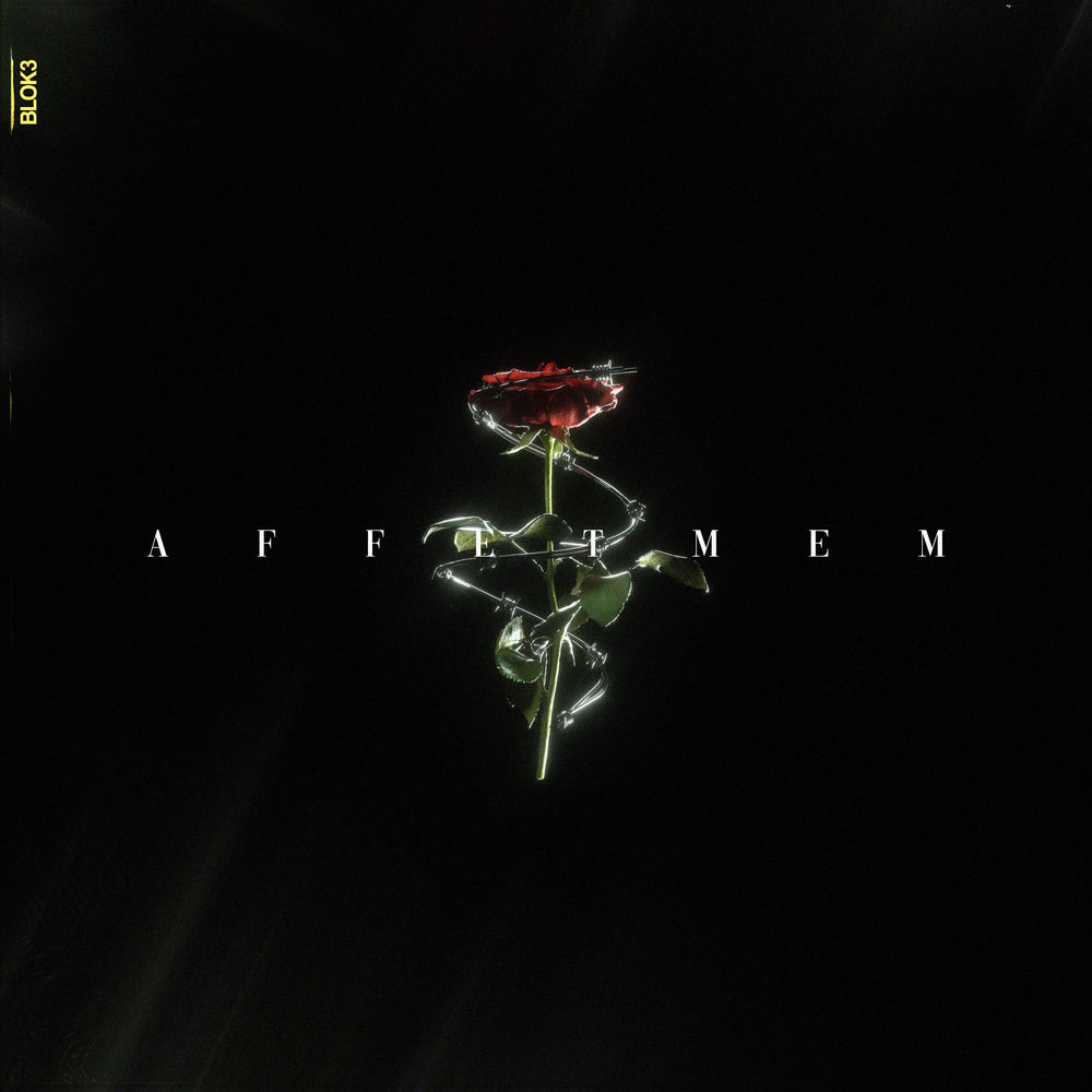 Portada de AFFETMEM