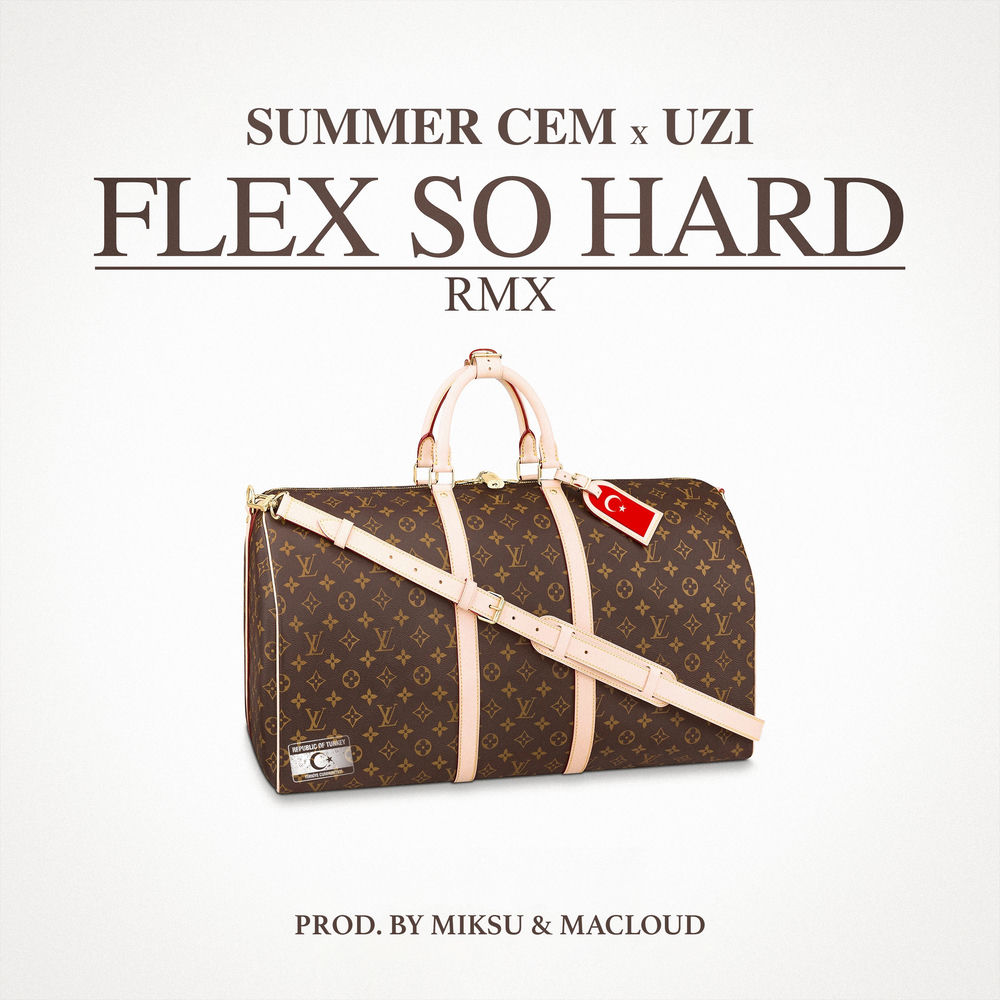 Portada de FLEX SO HARD - RMX