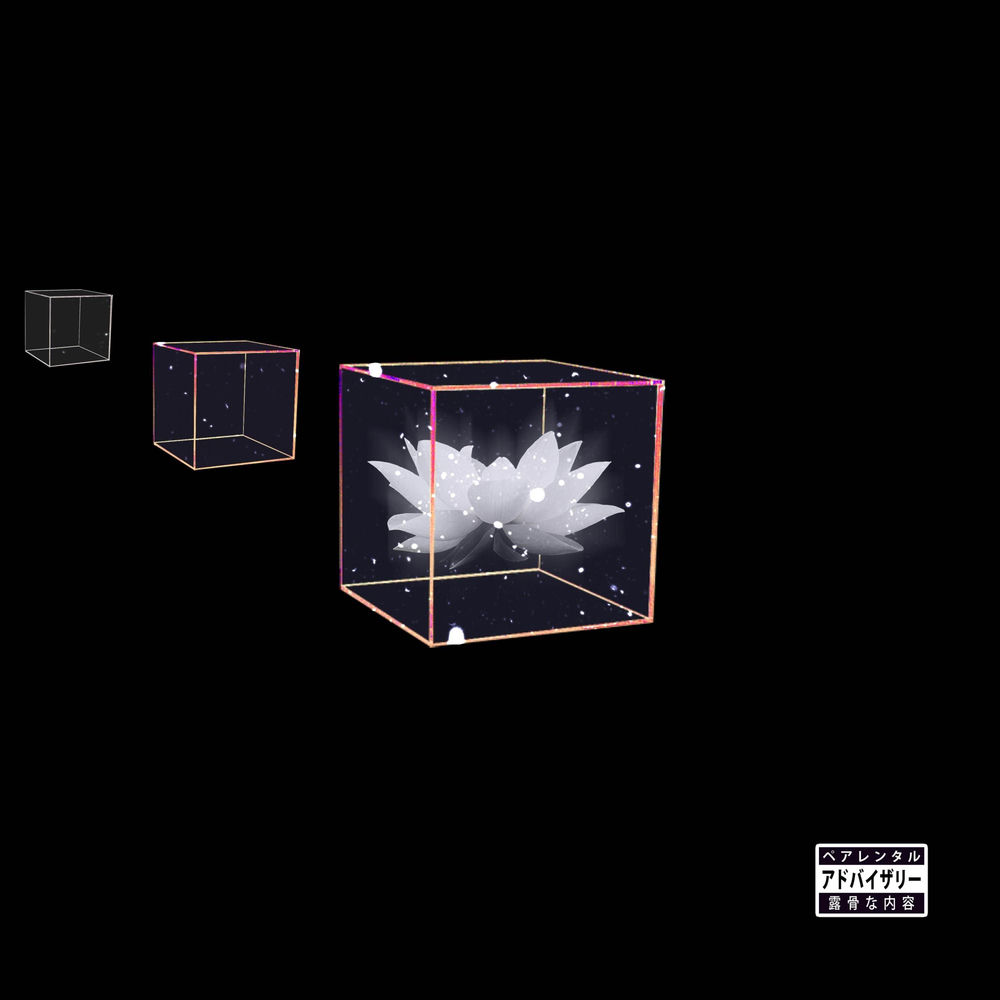 Portada de Flor de Loto