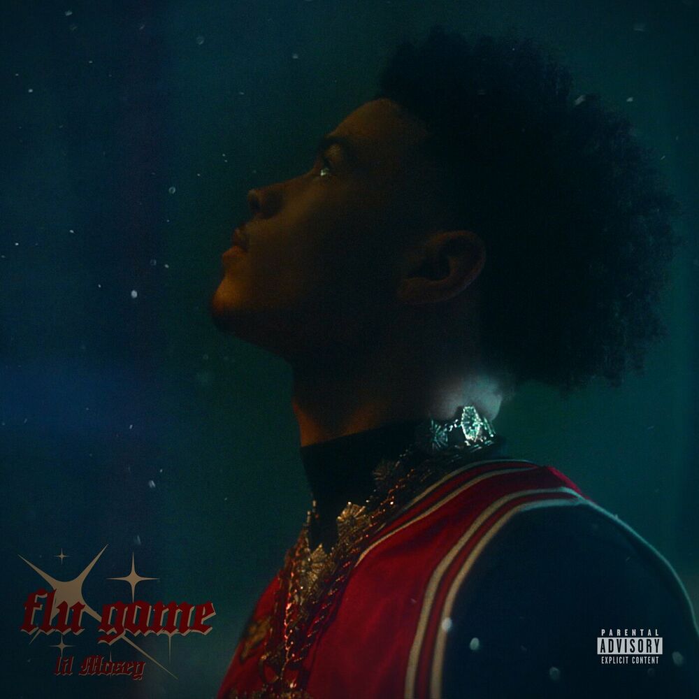 Portada de Flu Game