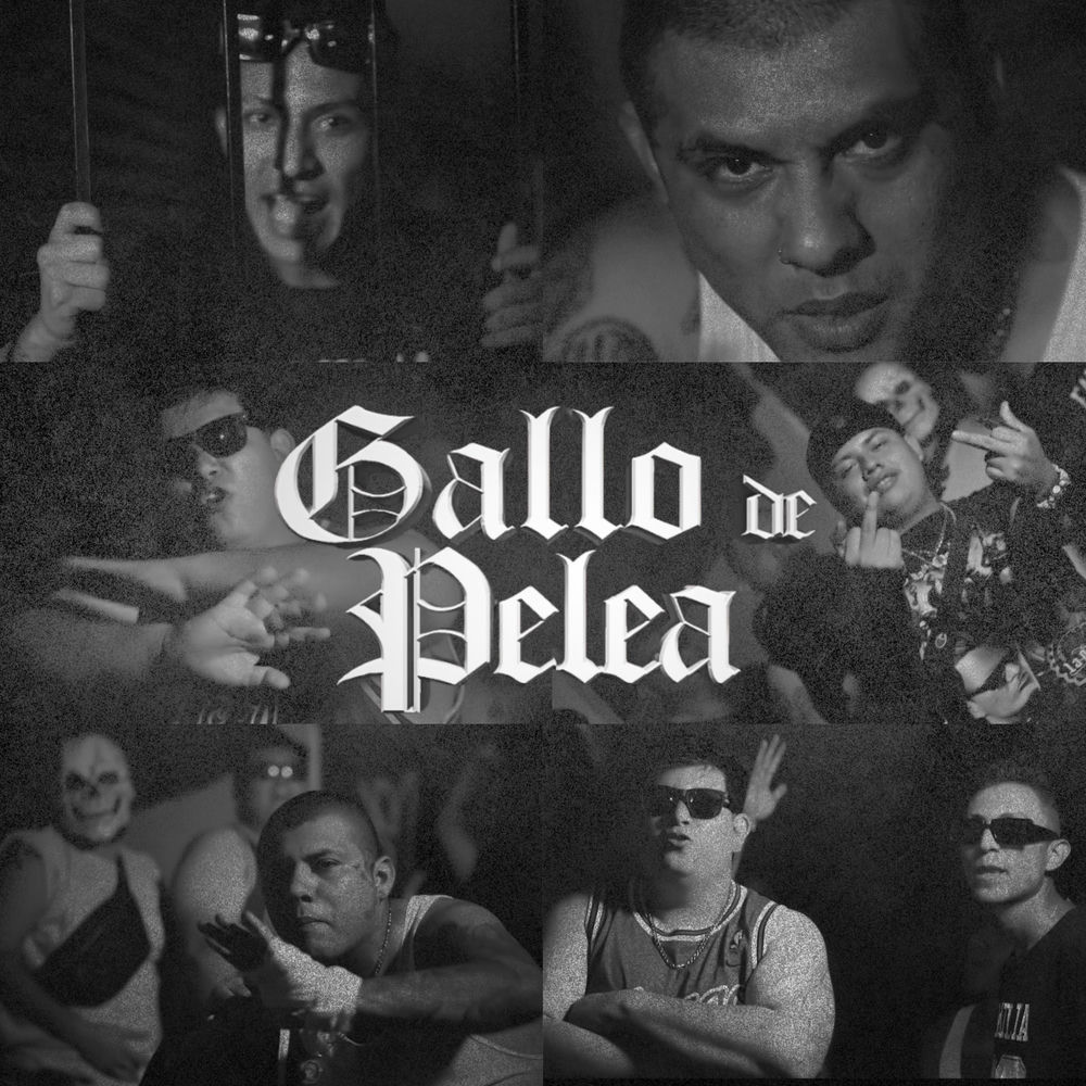 Portada de Gallo De Pelea